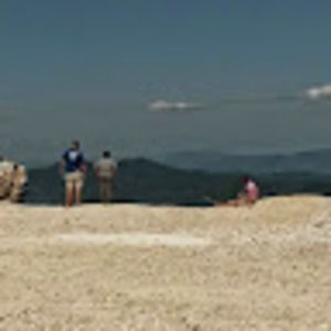 Meet your Posher, Tyree